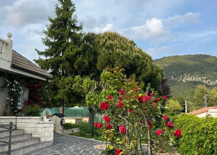 Amapolas Villa Arguis